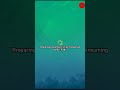 Đang với hiệu cho bạn cũ game Block man go thì nhỏ bạn nói làm sau mày quay video đang quay cái kết