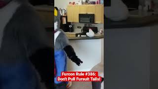 Dont Yoink Furry Tails