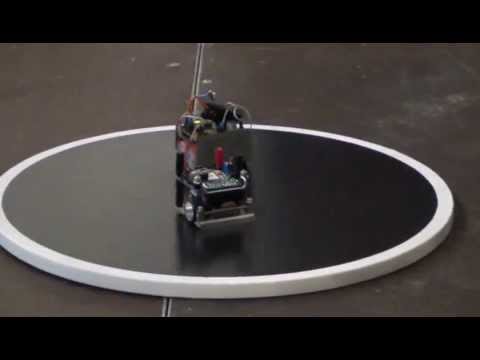 Robot Challenge 2012 - Micro Sumo Finals