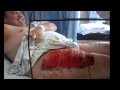 Testimonio de araña violinista en Ecatepec