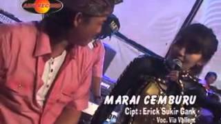 Dangdut Via Vallent Di Pegang Anunya