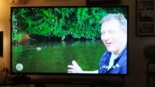 Wild Kratts Amazon Adventure