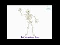 skeleton