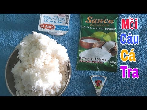 #14. Cách Làm Cơm Dừa Câu Cá Tra Hồ Hiệu Quả