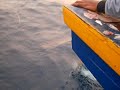Mancing Mania Di Ketapang 3 Lampung images Mancing Mania Di Ketapang 3 Lampung