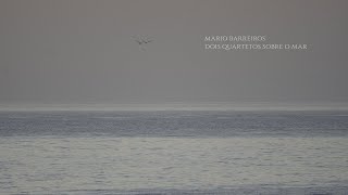 Mario Barreiros Quarteto - Aquática