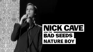 Watch Nick Cave  The Bad Seeds Nature Boy video