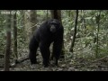 Funny Talking Animals - Walk on the Wild Side, Series 2 Episode 6 Preview - BBC One