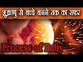 Shukranu Se Bachcha Banne Tak Ka Safar Video Hindi गर्भधारण कैसे होता है बच्चा कैसे बनता है