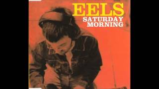 Watch Eels Sad Foot Sign video