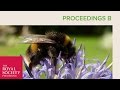 Effects of land use change on bee communities