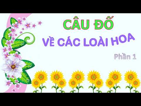 PlaneTV-Câu đố về các loài hoa-phần 1-đố vui cho bé