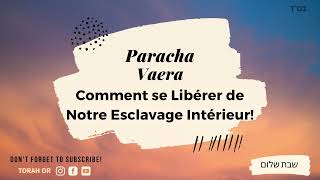 Paracha Vaera Comment Se Libérer De Notre Esclavage Intérieur