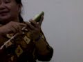 Pemsangan Iud images Pemsangan Iud