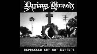 Watch Dying Breed Apportioned Grief video