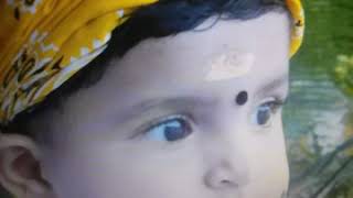Veda Mol