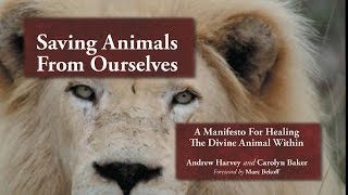 Saving Animals From Ourselves