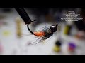 Tying a Carrot Nymph with Davie McPhail Tying a Carrot Nymph with Davie McPhail