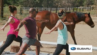 We Tried Horse Yoga To Achieve Inner Peace // Presented By BuzzFeed & Subaru