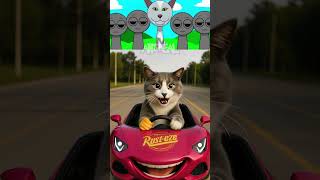 Incredibox Sprunki Oc - Laughing Cat Ride Car In Real Life