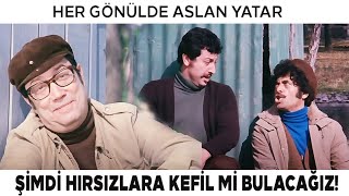 Her Gönülde Aslan Yatar Danyal, Zeynelin Polis Olması İçin Hırsızlarla Anlaşıyor
