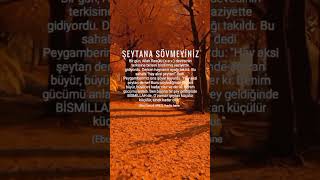 Sakın Şeytana Sövmeyin Peygamberimizin Nasihatıdır