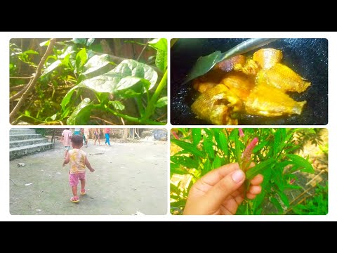 কত আনা দিয়ে ছোট্ট কানের দুলটা বানালাম প্রিয় আপুর প্রশ্নের উত্তর। 🌳সাথে গ্রামের সাধারণ জীবনযাপন কত আনা দিয়ে ছোট্ট কানের দুলটা বানালাম প্রিয় আপুর প্রশ্নের উত্তর। 🌳সাথে গ্রামের সাধারণ জীবনযাপন