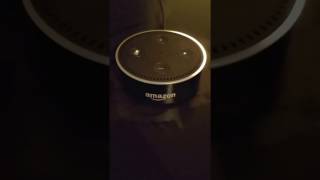 Amazon Echo Dot 2Nd Generation Voip Integration Setup