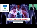 Heart and lung biology | Life Science | Unacademy Live CSIR UGC NET | Mohd. Salman