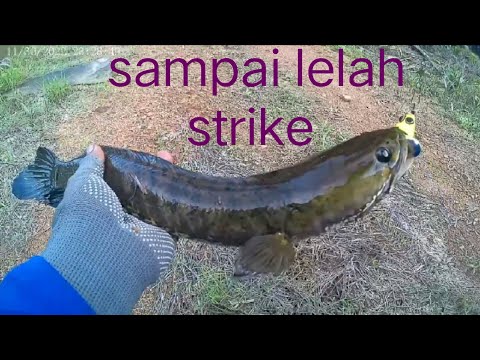 SAMAPAI LELAH STRIKE||.                    LETUPAN SAMBARAN BUAT SEMANGAT KEMBALI 🔥🔥🔥