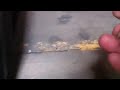 woodworm