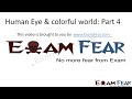 Physics Human Eye part 4 (Prism) CBSE class 10 X