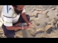 يصيد سمك باستخدام طائرة فانتوم الكويت