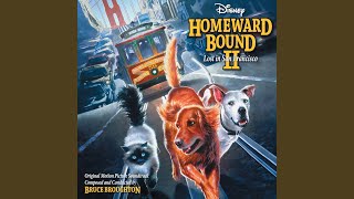 Bungled Ambush Film Version