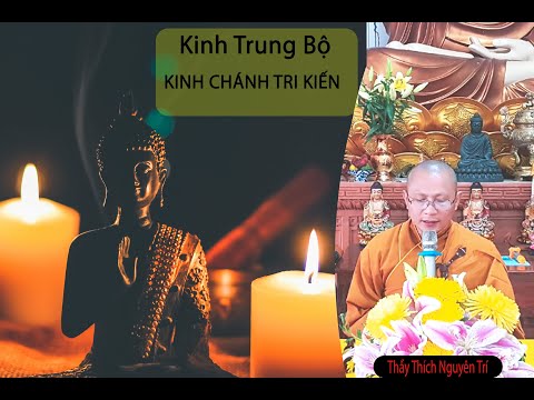 Kinh Chánh Tri Kiến (Phần 33) - Thích Nguyên Trí