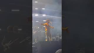 Edisin Roman Performansı