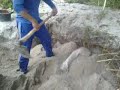 Dikubur Hidup Hidup images Dikubur Hidup Hidup