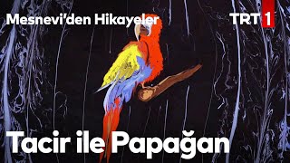 Tacir Ile Papağan Mesneviden Hikayeler 3. Bölüm