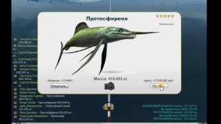 на Разломе в Трофейной рыбалке на Разломе в Трофейной рыбалке