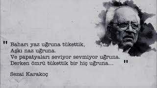Sezai Karakoç Kar Şiiri Yorum Mehmed Emin Avanaş