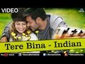 Tere Bina Full Song (Tezz)