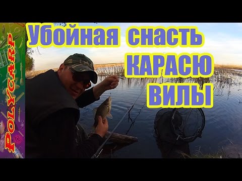 весенняя рыбалка на карася и карпа снасть какая весенняя рыбная ловля для карася равно карпа орудие какая