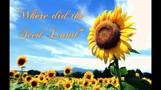"Where Did The Seed Land"