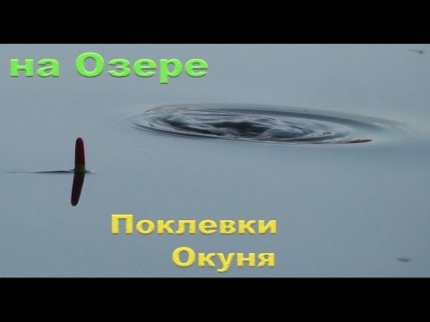 как ловить рыбу в ревелейшен как ловить рыбу в ревелейшен