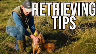 Having Issues With Your Dog Retrieving?