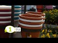 Kan ik ook een moestuin maken op mijn balkon?