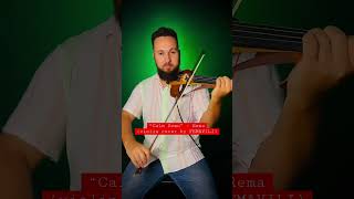 Calm Down - Remaviolin Cover By Femavili
