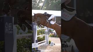 Jumping A 1.50M With No Stirrup