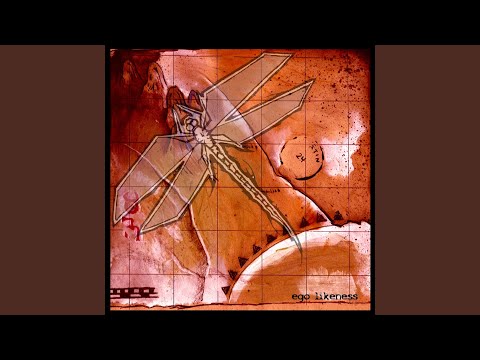 The Map Is Not The Territory Video