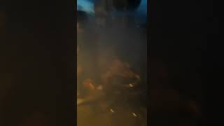 Mangal Keyfi